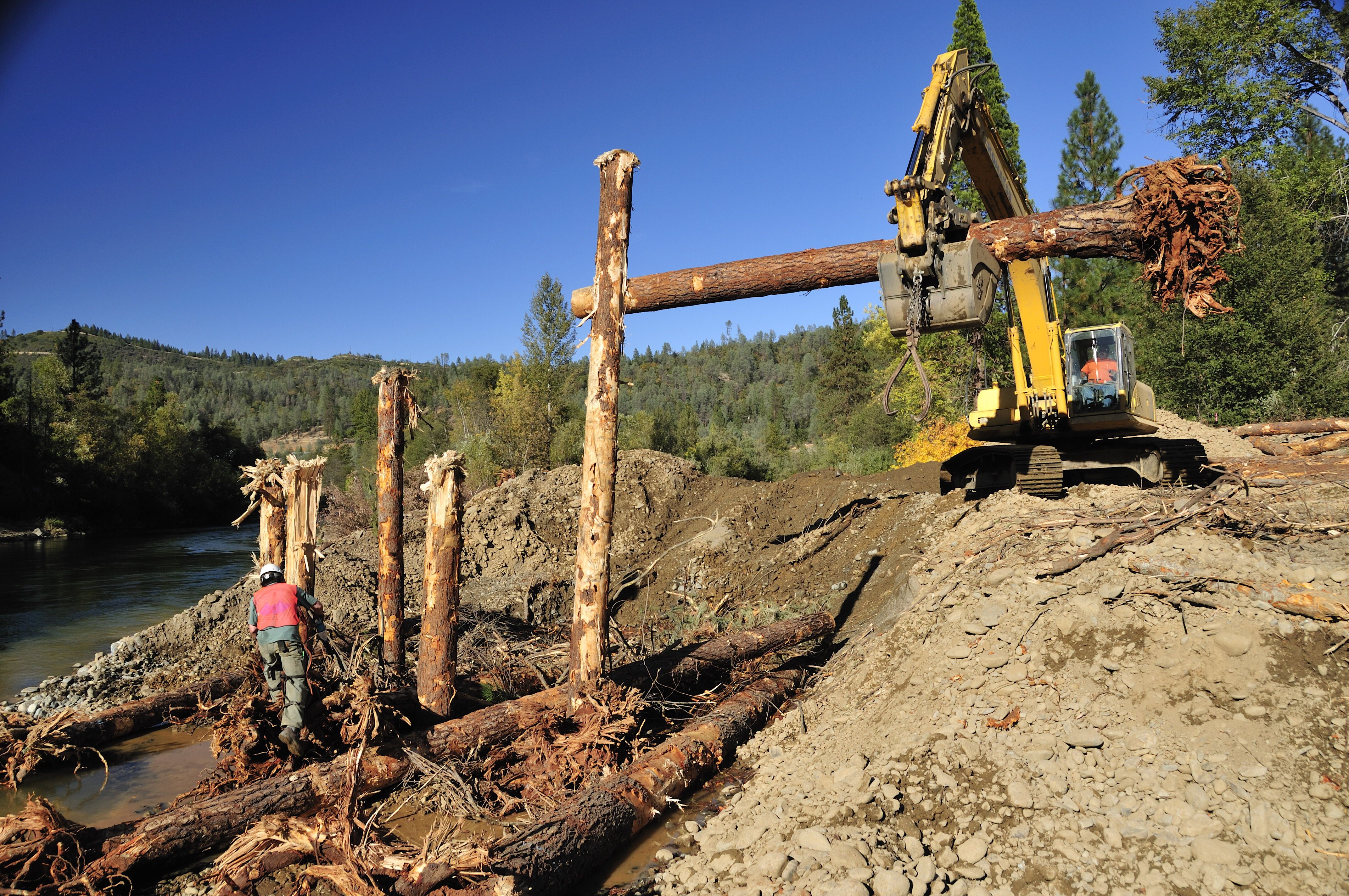 Rootwads are placed at a rehabilitation site to create a log jam. Photo by Kenneth DeCamp