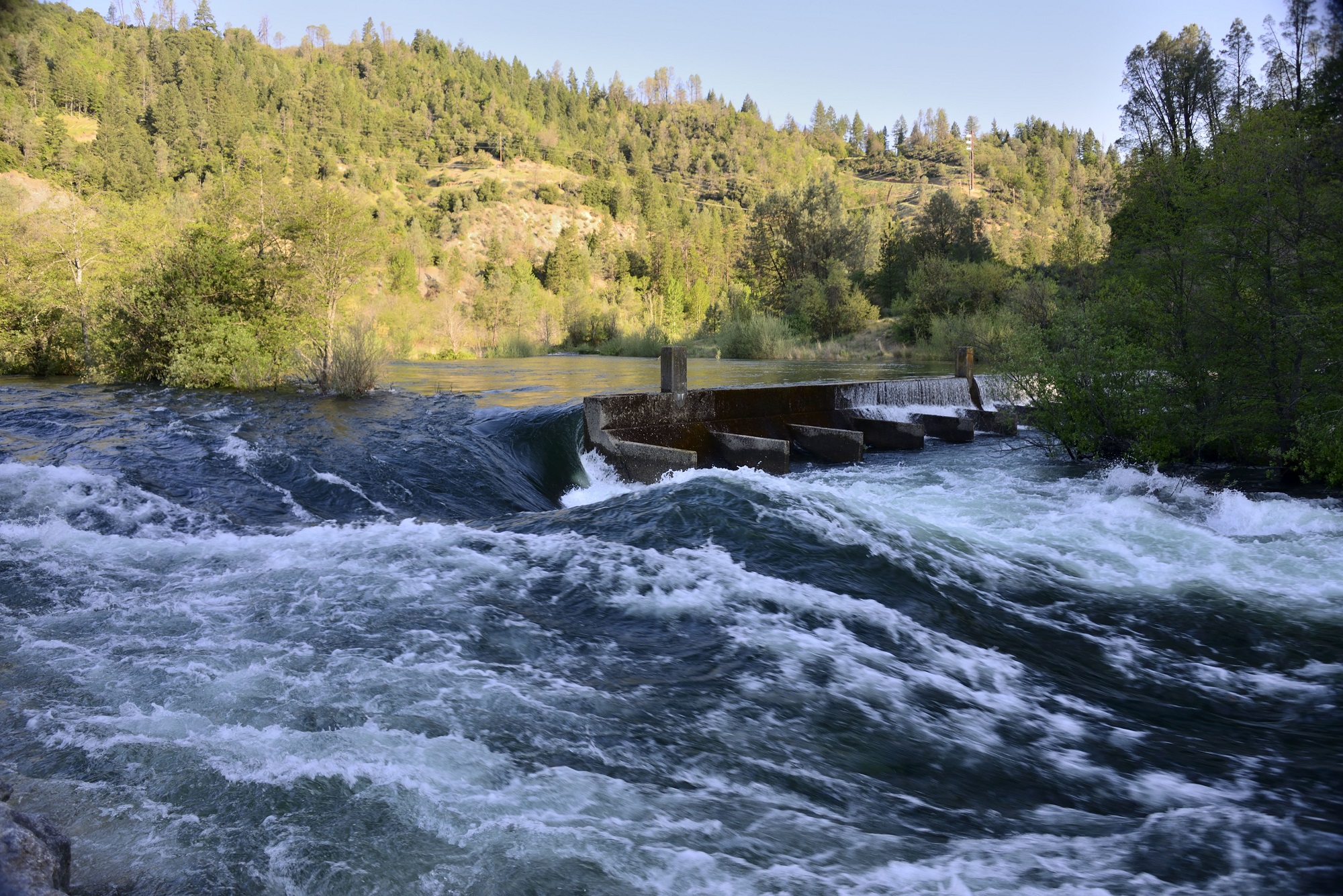 Trinity River flows in the summer of 2014 at the weir near Lewiston, CA. Photo by Kenneth DeCamp