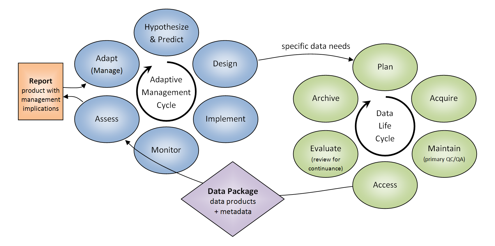 Data and Adaptive Management Cycles