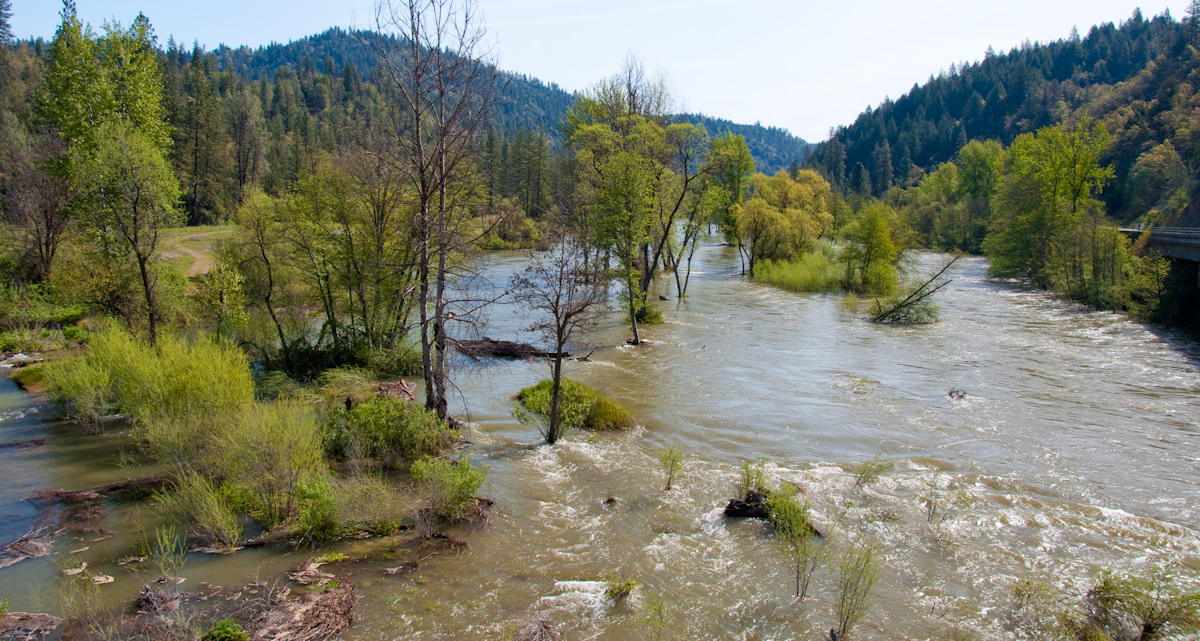 View of Indian Creek Rehabilitation Site from highway 299 bridge during the 11,000 cfs restoration flow release in 2011. Photo by TRRP staff.