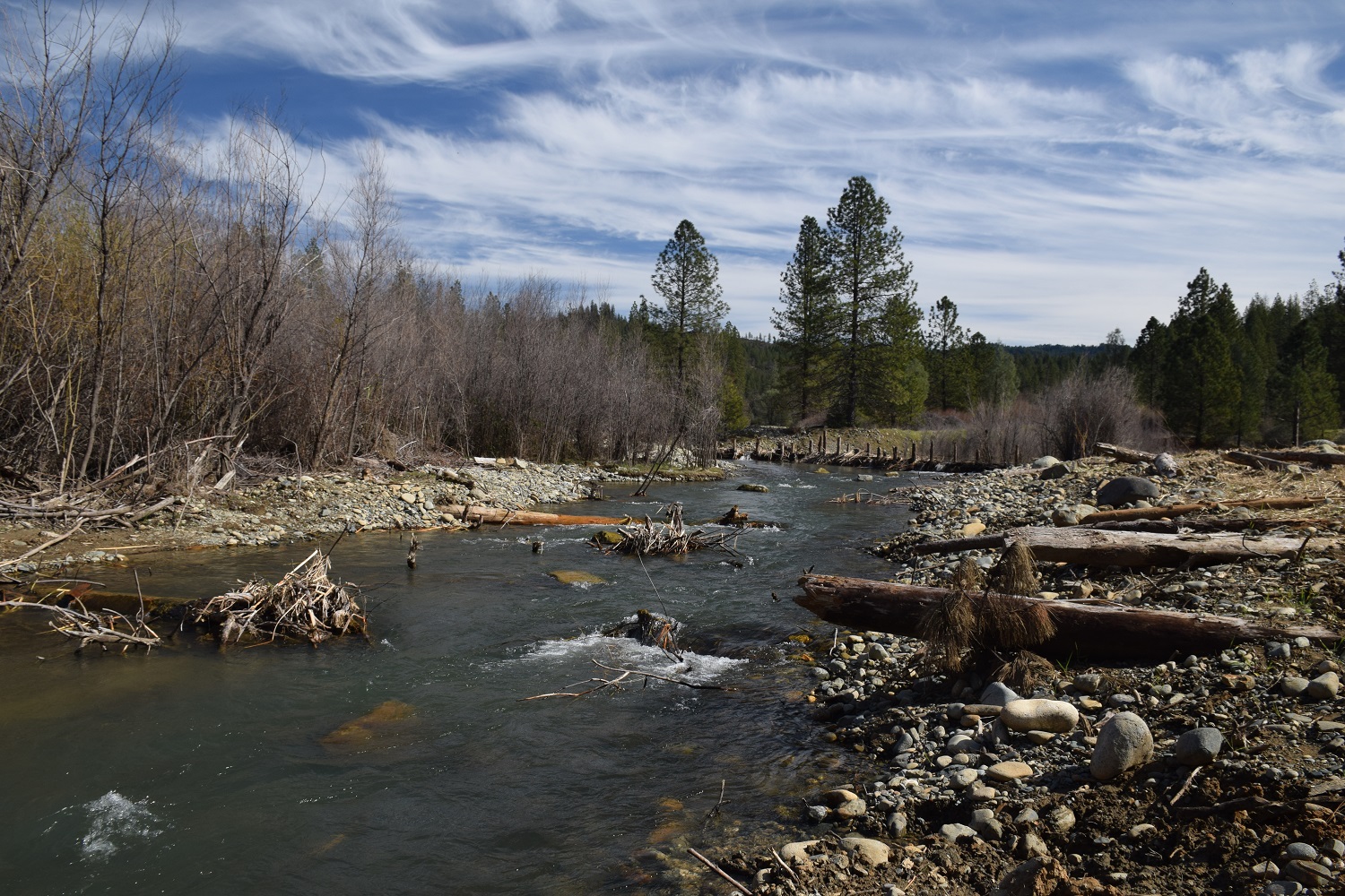 A side channel and Beaver Dam Analog created at the Bucktail Channel Rehabilitation site.