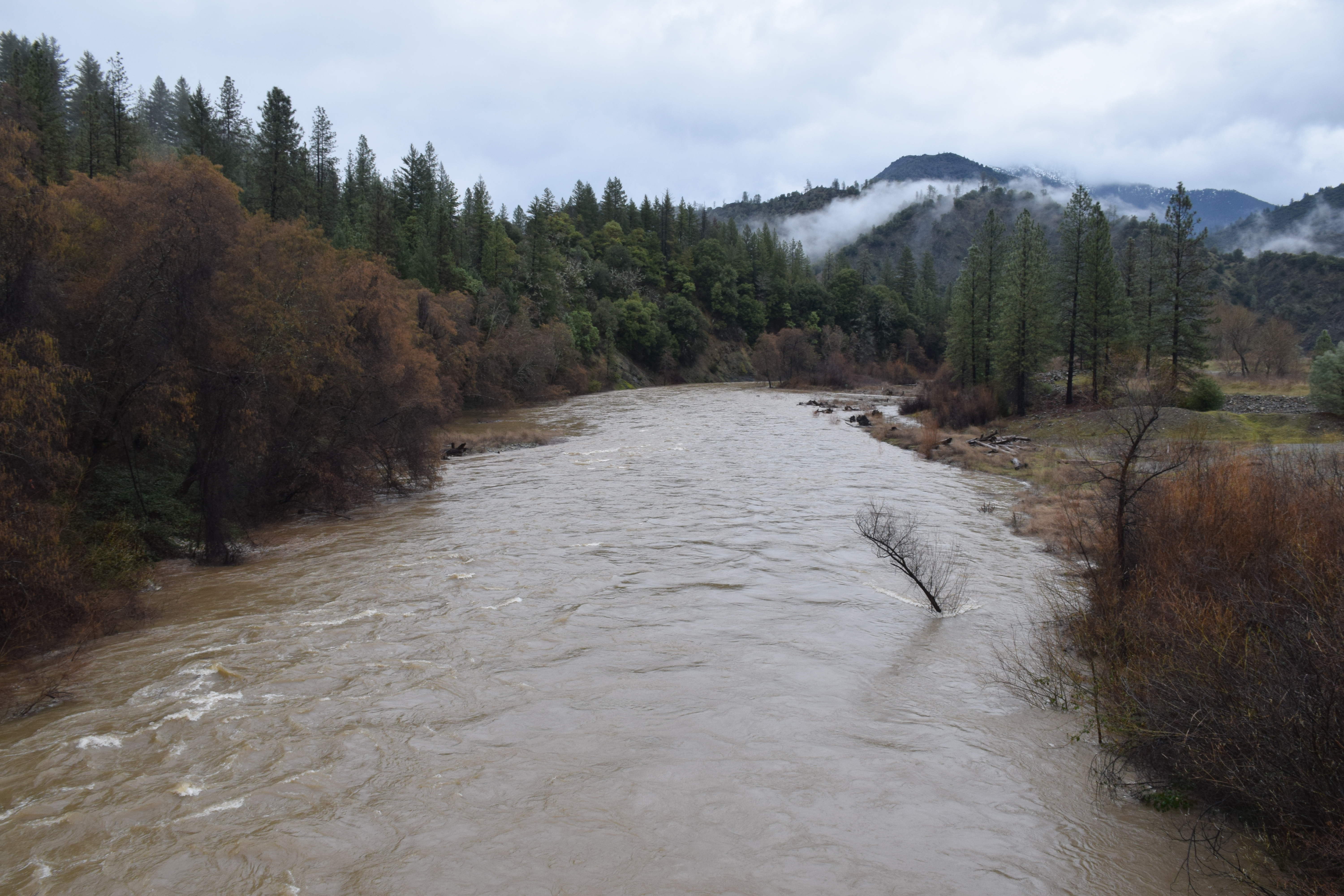 Trinity River from Dutch Creek Road Bridge 2017 (ca 6000cfs)