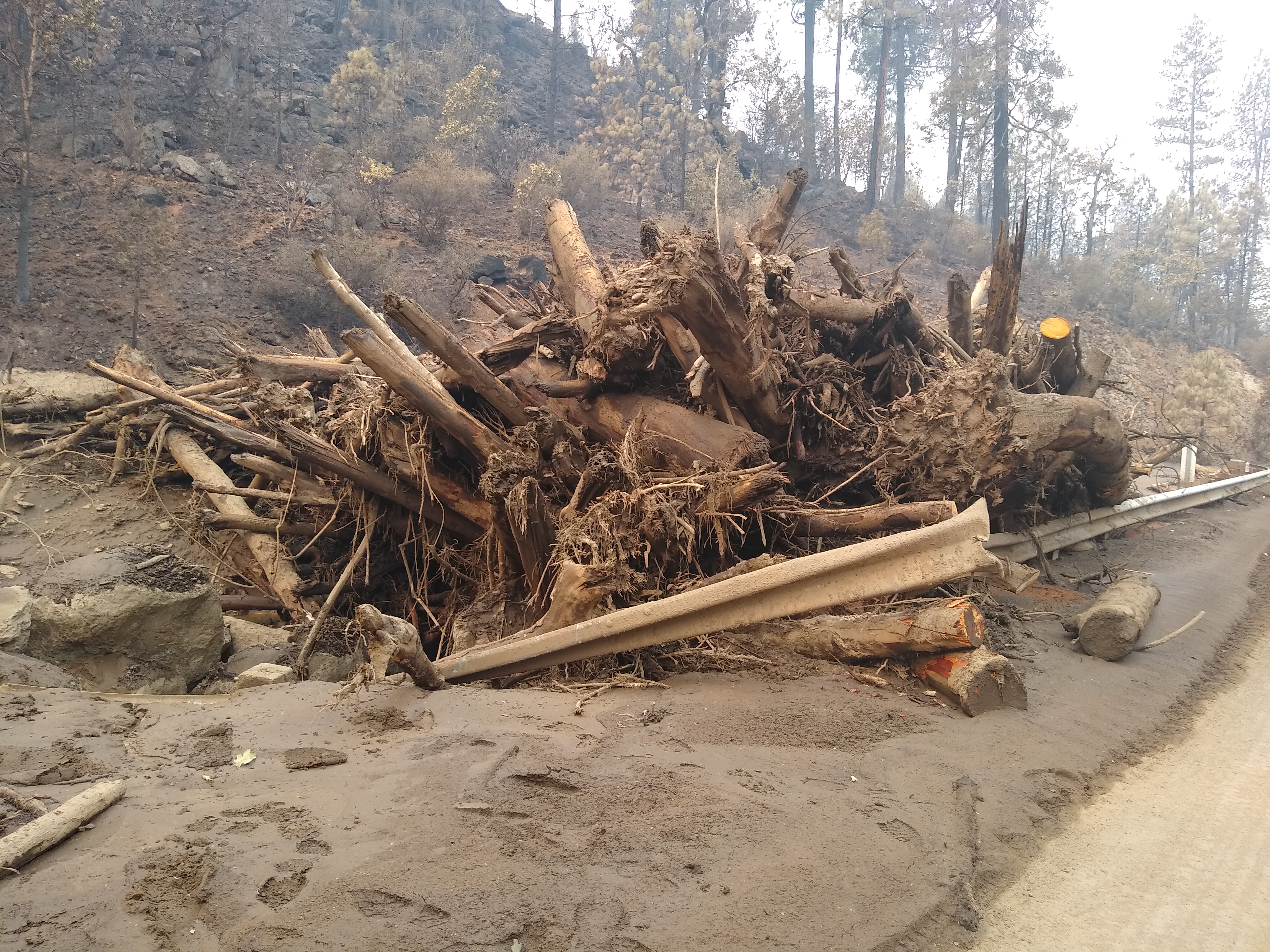 Debris flow piled against a bridge on Little Humbug Creek, a tributary to the Klamath River, during the 2022 McKinney Fire. Photo by E. Peterson.