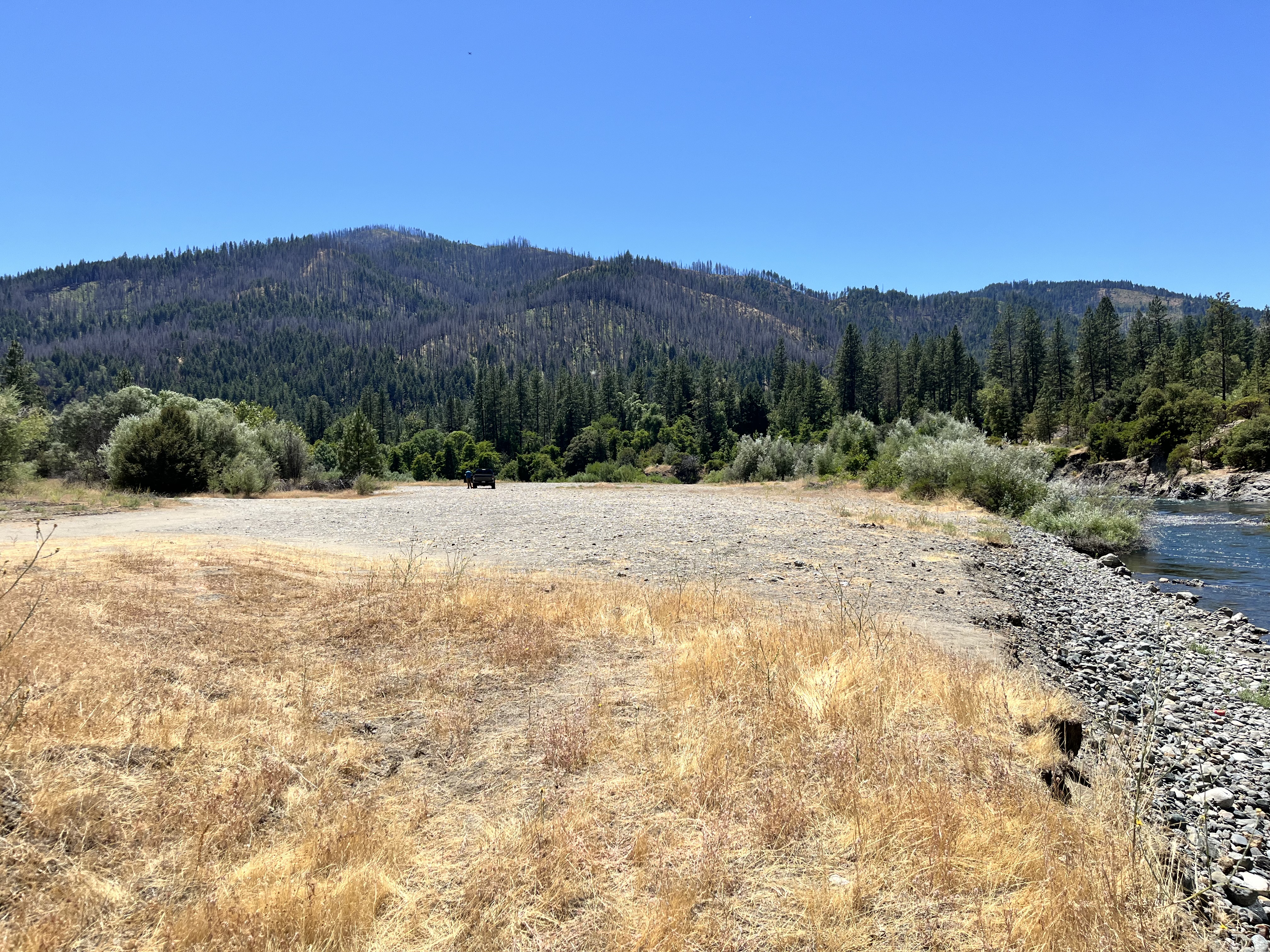 image of some of the restoration area before construction at Upper Conner Creek phase II in July 2024. [Kiana Abel, Trinity River Restoration Program]